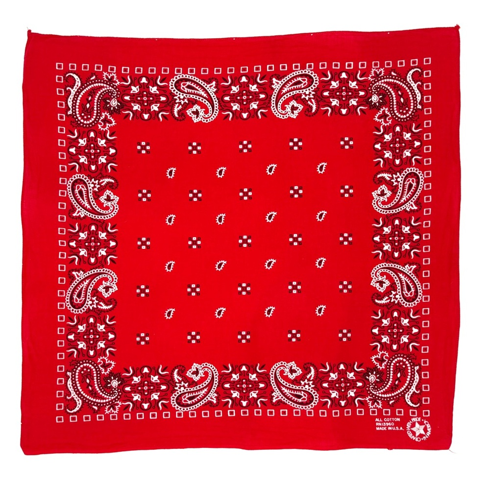 Classic Red Paisley Bandana
